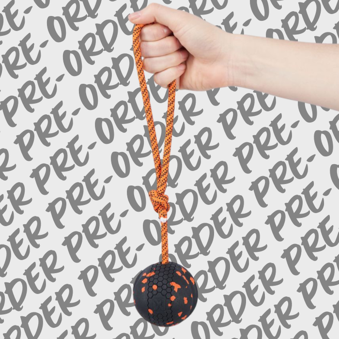 *PRE-ORDER* Dog Ball on Rope - Non-Stop Dogwear