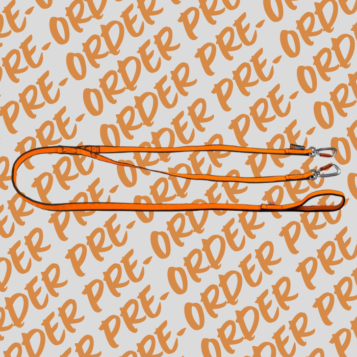 *PRE-ORDER* Double Bungee Leash - Non-Stop Dogwear