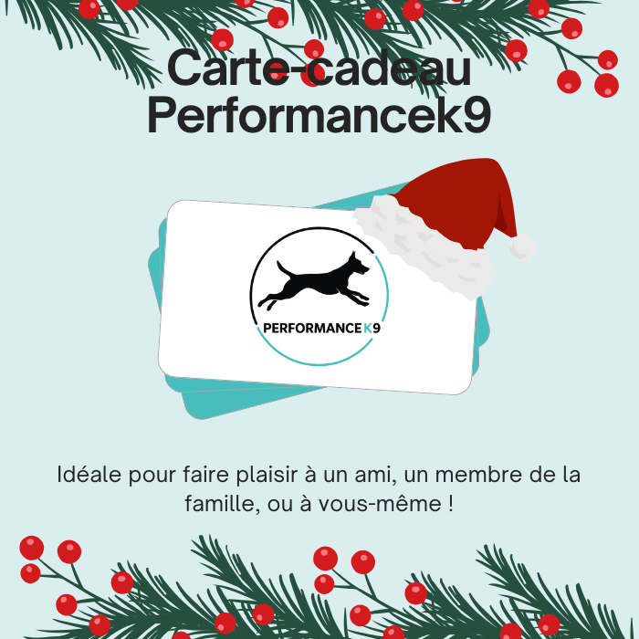Carte-cadeau Performancek9
