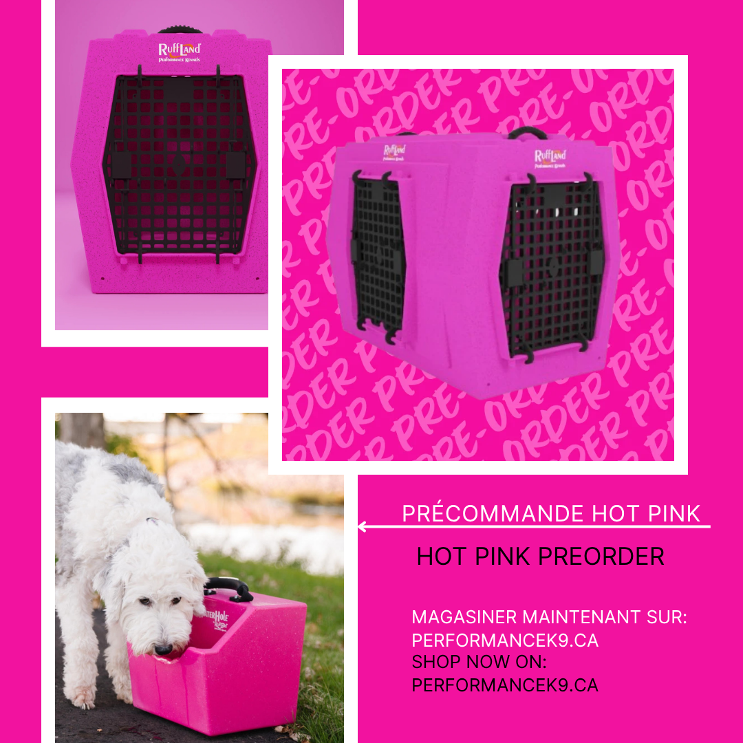 *PRÉCOMMANDE HOT PINK *