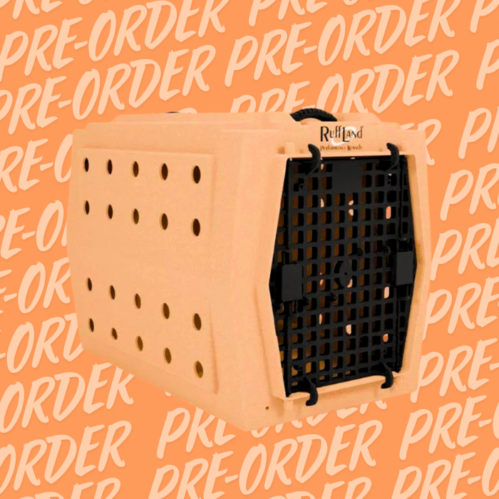 *PRÉCOMMANDE PEACH*